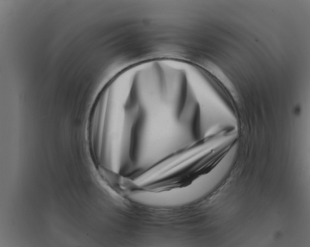X0000094181339200711241544