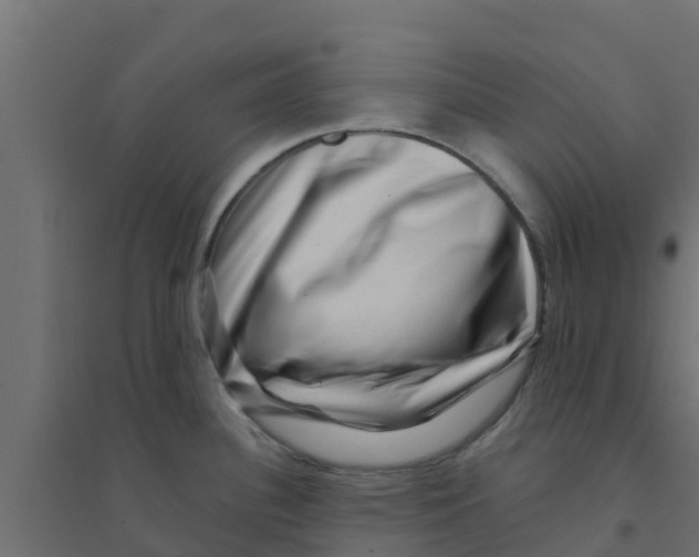 X0000094181340200711241544