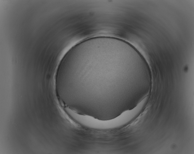 X0000094181341200711241544