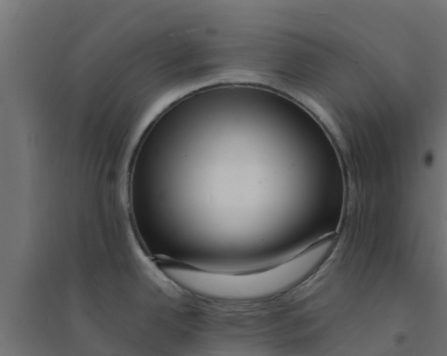 X0000094181342200711241544