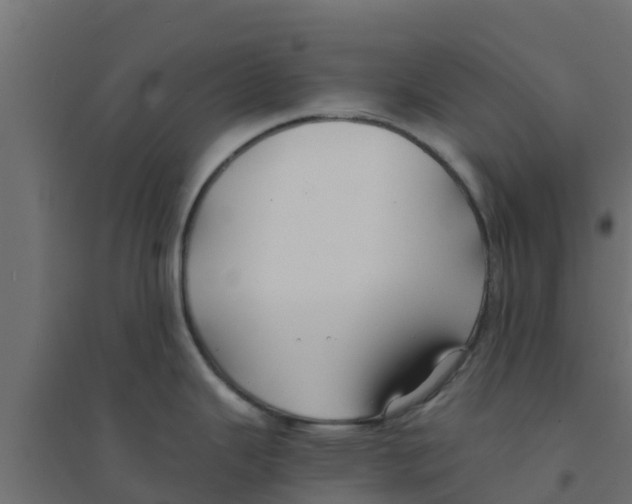 X0000094181343200711241544