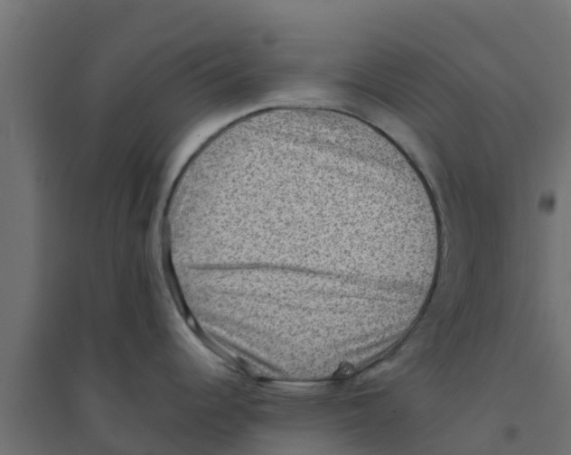 X0000094181344200711241544