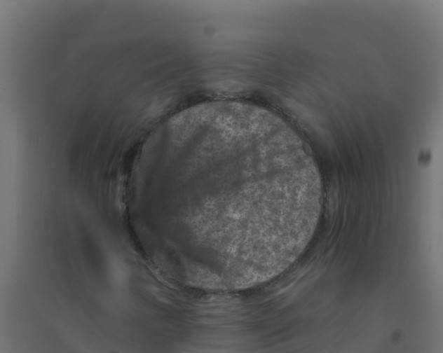 X0000094181346200711241544
