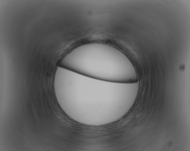 X0000094181348200711241544