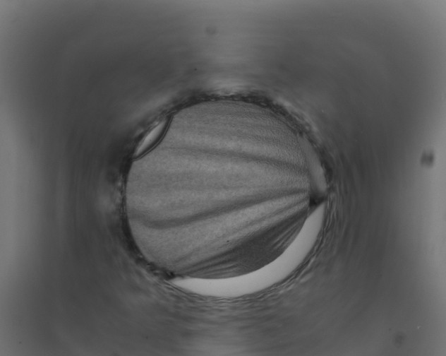X0000094181349200711241544