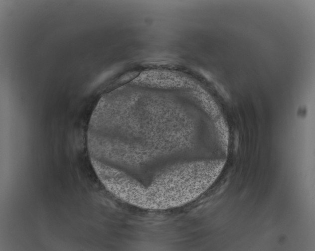 X0000094181350200711241544