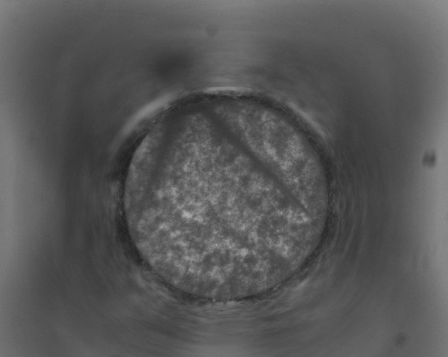 X0000094181351200711241544