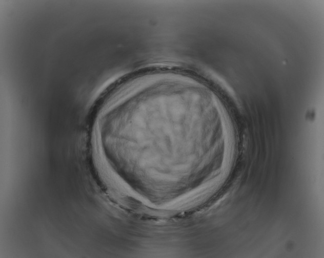 X0000094181352200711241544