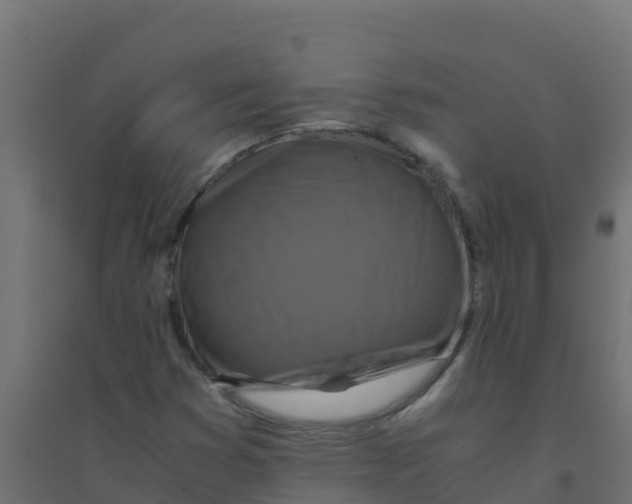 X0000094181353200711241544