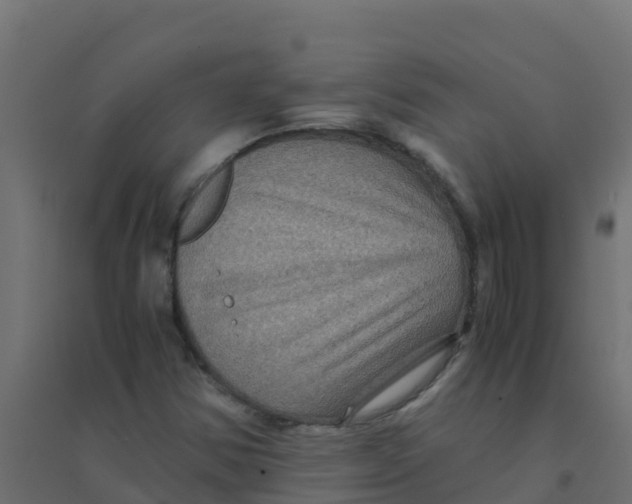 X0000094181354200711241544