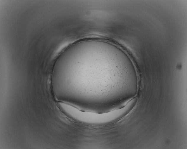 X0000094181355200711241544