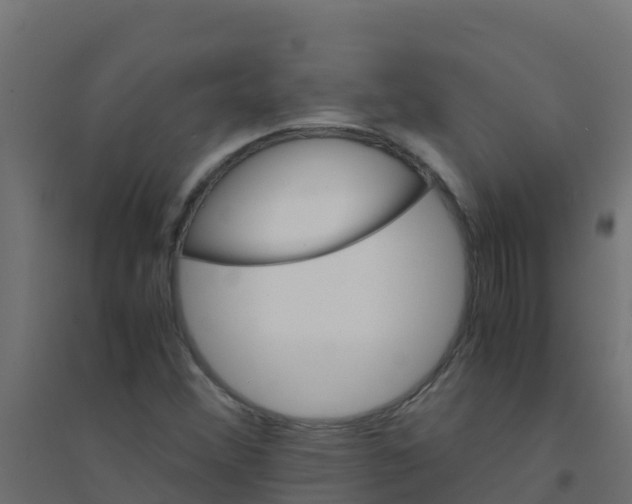 X0000094181356200711241543