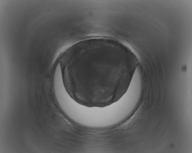 X0000094181357200711241543