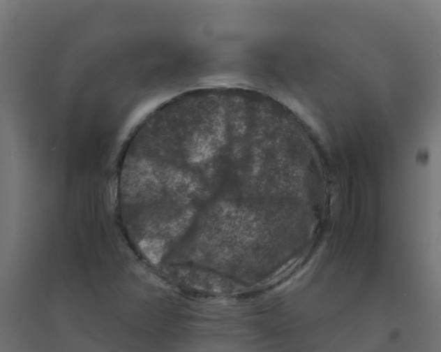 X0000094181358200711241543
