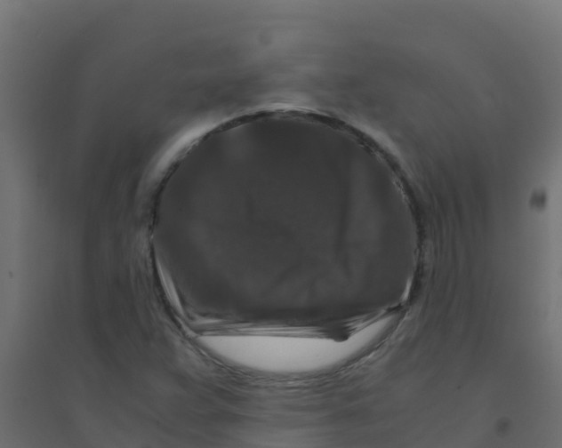 X0000094181359200711241543