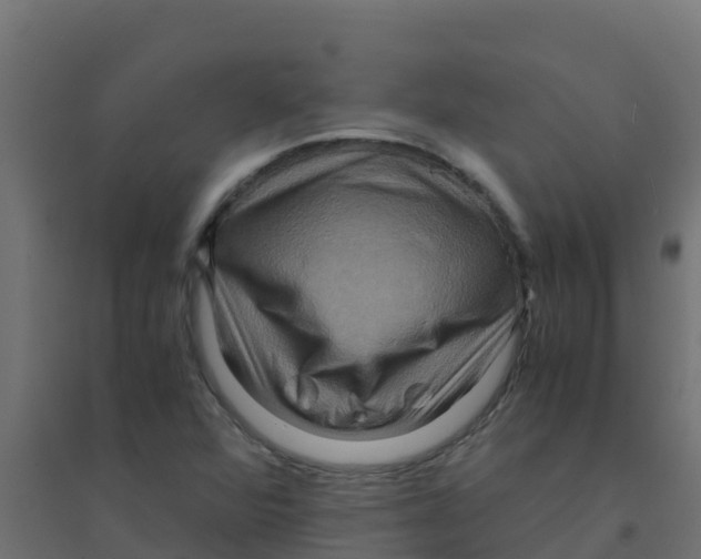 X0000094181360200711241543