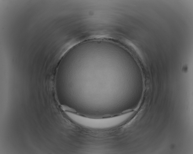 X0000094181361200711241543