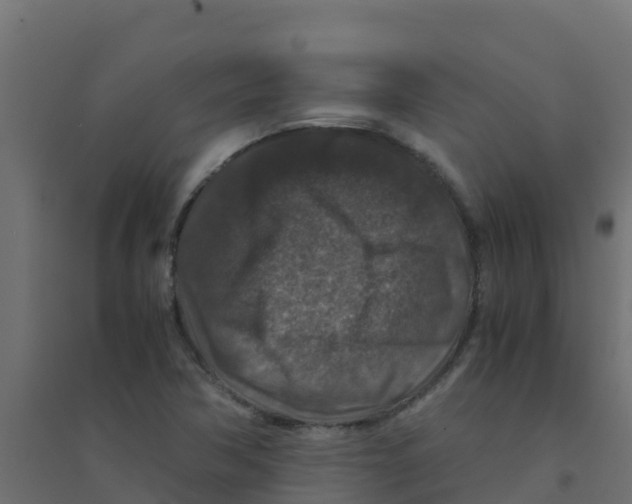 X0000094181362200711241543
