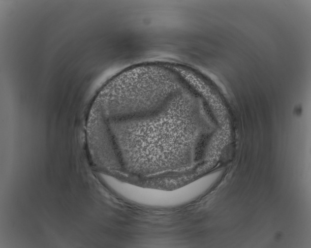 X0000094181363200711241543