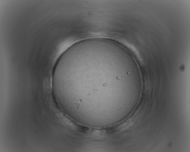X0000094181365200711241543