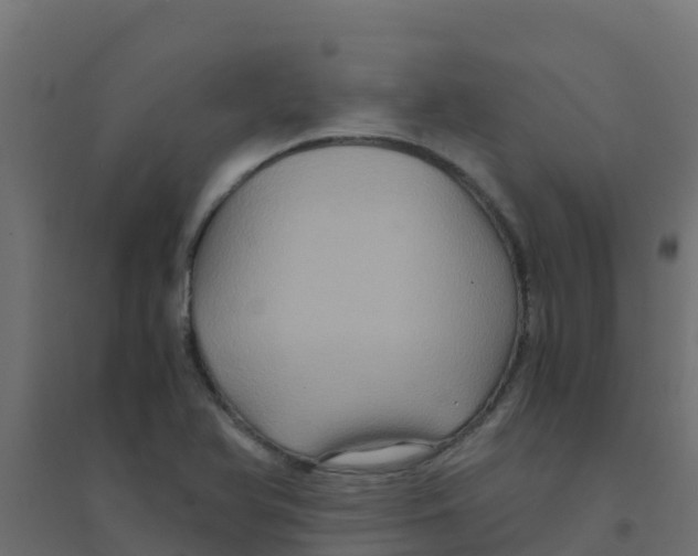 X0000094181366200711241543