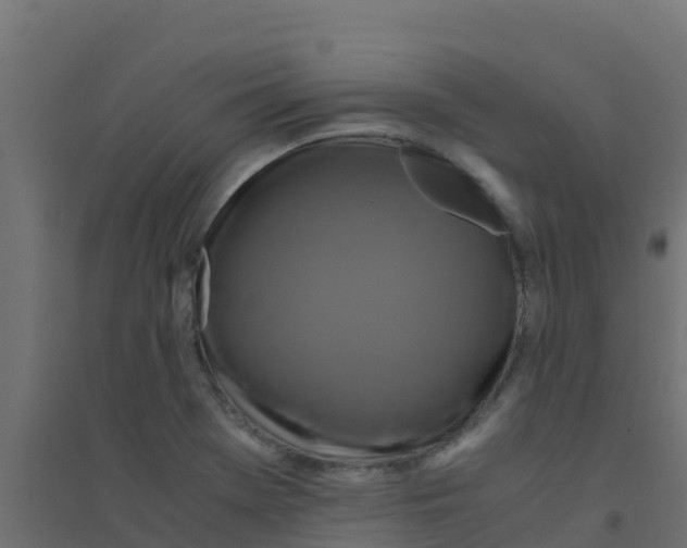 X0000094181369200711241543