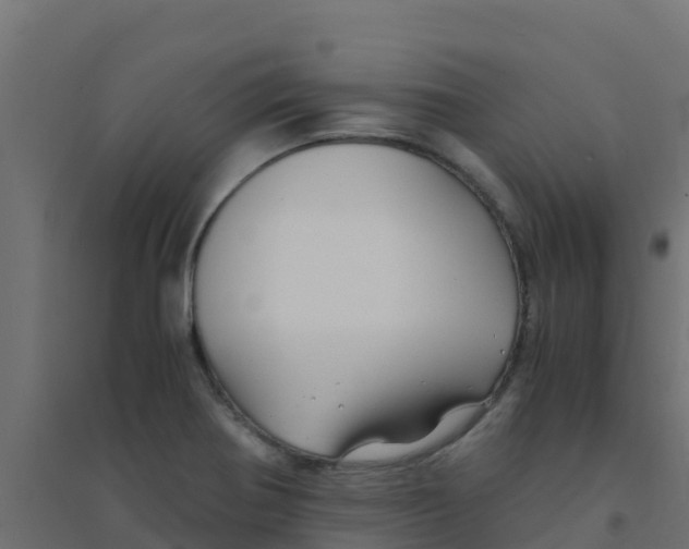 X0000094181370200711241543