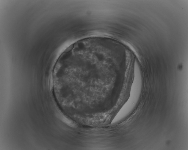 X0000094181371200711241543