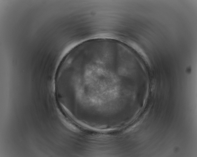X0000094181372200711241543