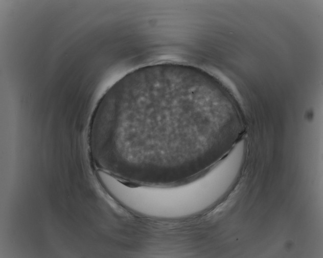 X0000094181373200711241543