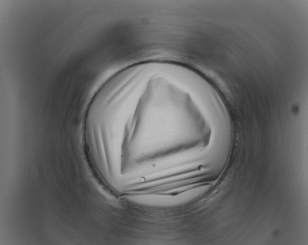 X0000094181375200711241543
