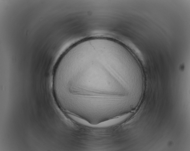 X0000094181376200711241543