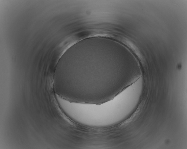 X0000094181377200711241543