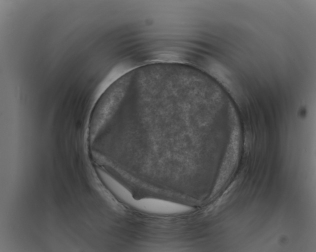 X0000094181378200711241543