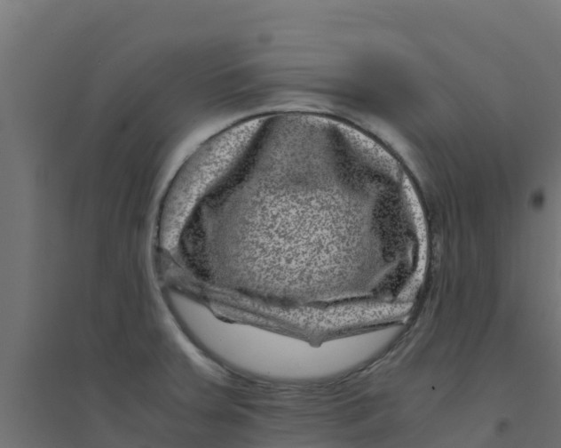X0000094181379200711241543