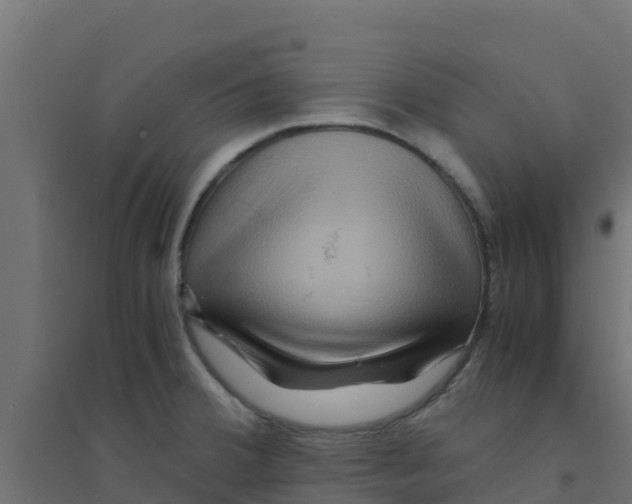 X0000094181380200711241543