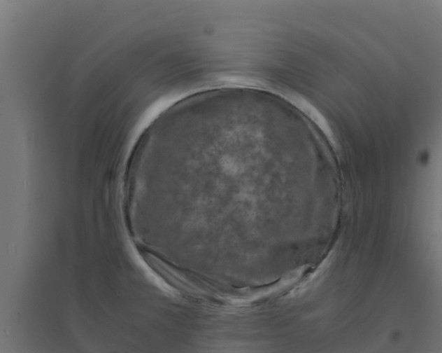 X0000094181381200711241543