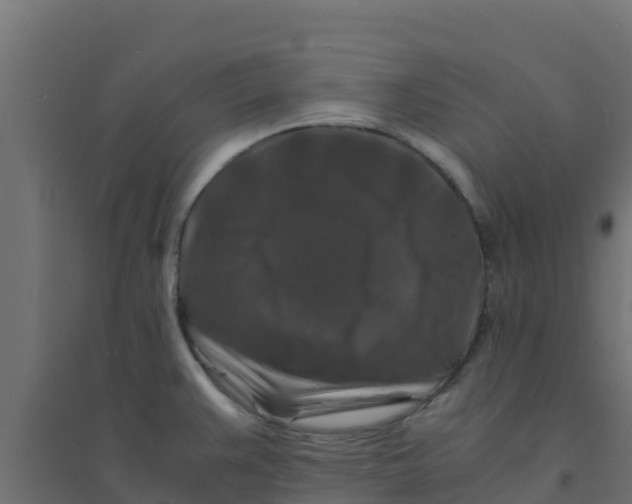 X0000094181383200711241543
