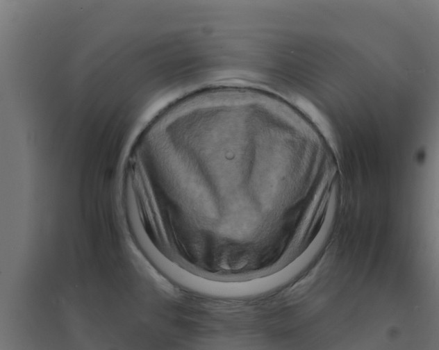 X0000094181384200711241543