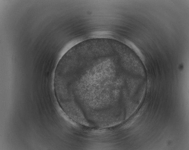 X0000094181386200711241543