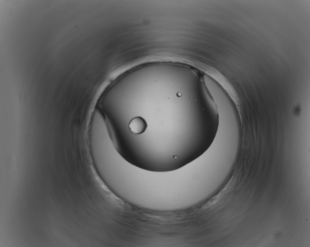X0000094181388200711241543