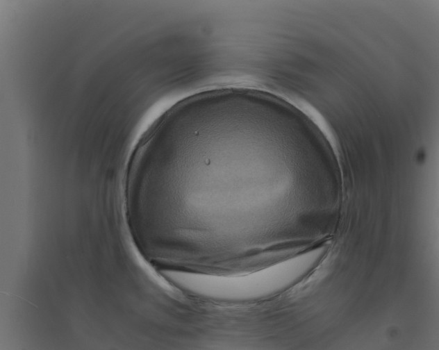 X0000094181389200711241543