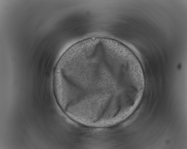 X0000094181390200711241543