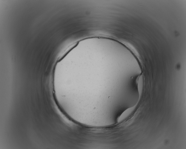 X0000094181391200711241543
