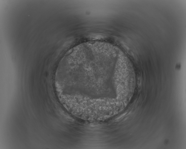X0000094181393200711241542