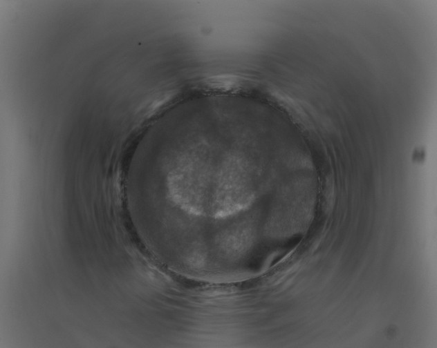 X0000094181394200711241542