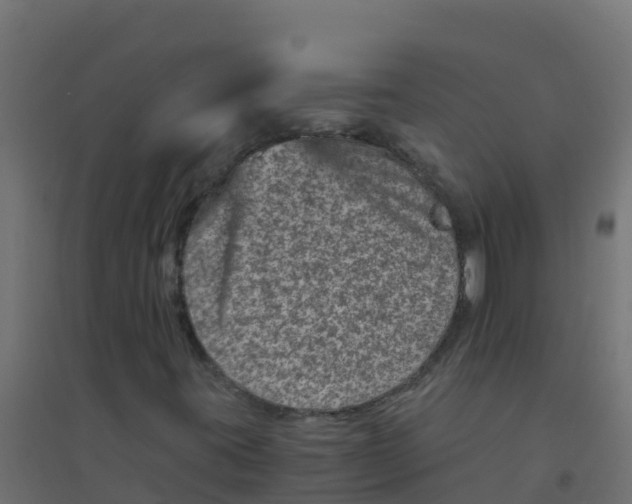 X0000094181395200711241542