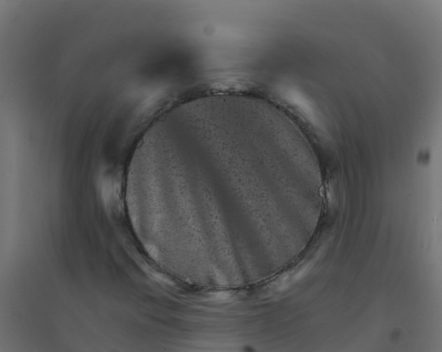 X0000094181396200711241542