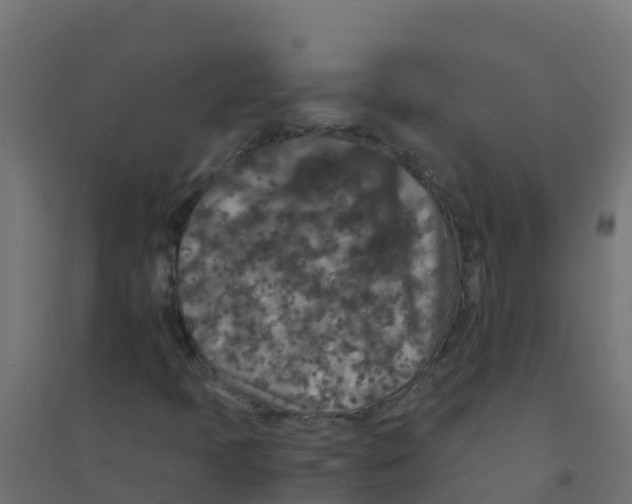 X0000094181397200711241542