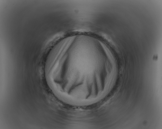 X0000094181398200711241542